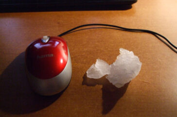 neve