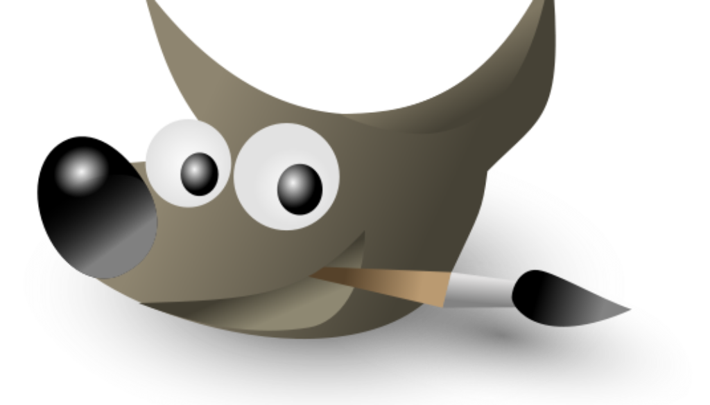 gimp