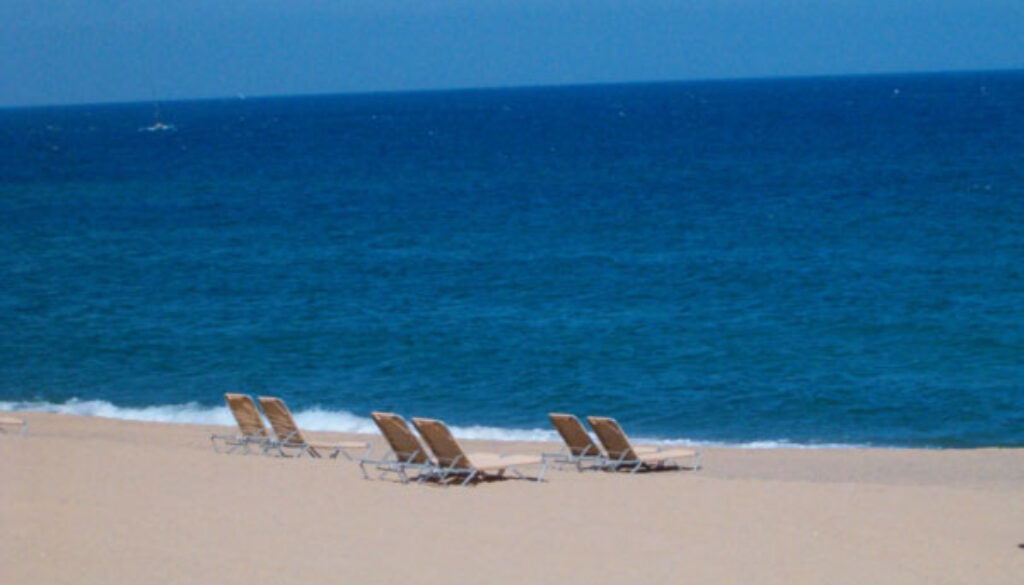 mare