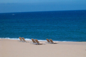 mare