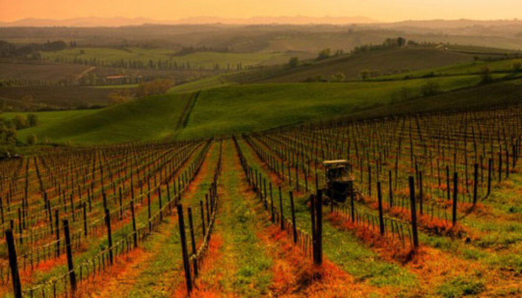chianti