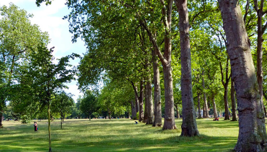 hyde park