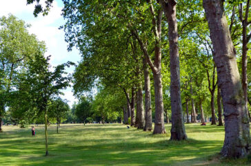 hyde park