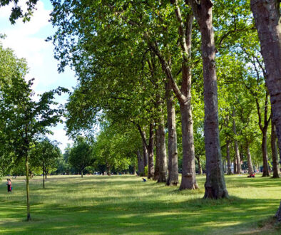 hyde park