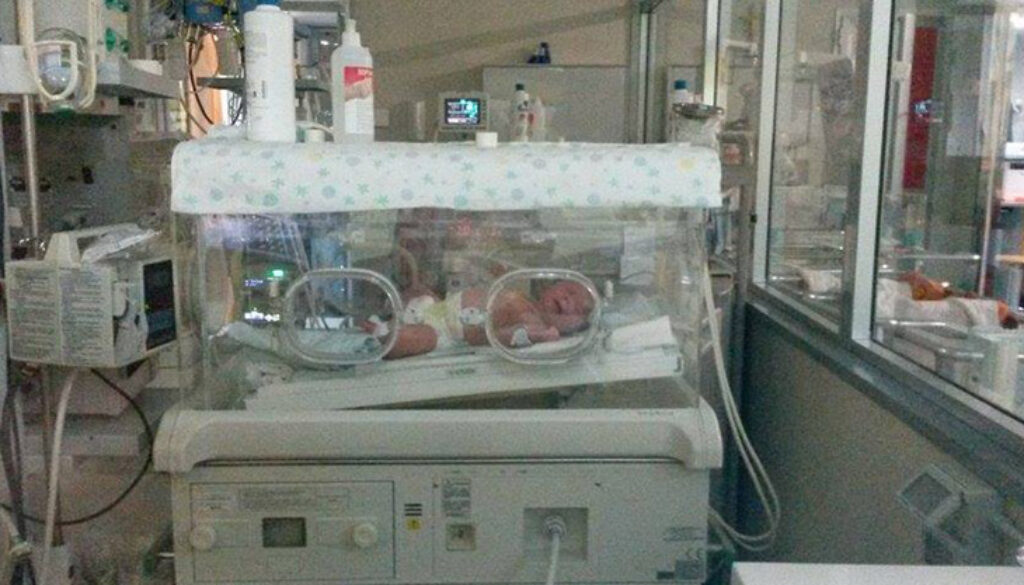 neonato