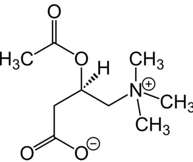 carnitina